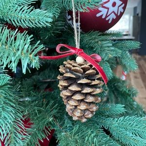 Set of five new pinecone ornaments with velvet ribbon. Boxed for gifting.